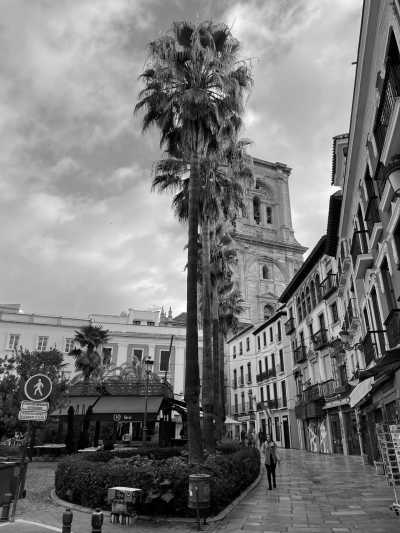 Spanien - Granada - 1 Woche Workation 💻 mit Workouts 🧘 & Wandern 🥾 in 🇪🇸 Andalusien ☀️ in exklusiver Location 🌴 mit Meerblick🌅 (Preis für Platz im DZ zzgl. Verpflegungspauschale) - 3