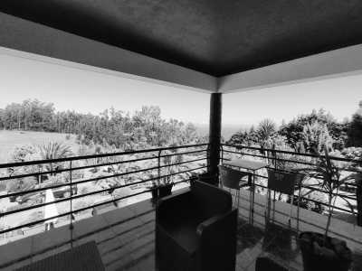 Portugal - Homeoffice Madeira | CoWorking + CoLiving - Madeira SPECIAL ADVENTURE w/ local guide : A One Of A Kind Hiking Adventure in Madeira: Explore the Island's Trails and Discover Hidden Paths Off the Beaten Track - 11