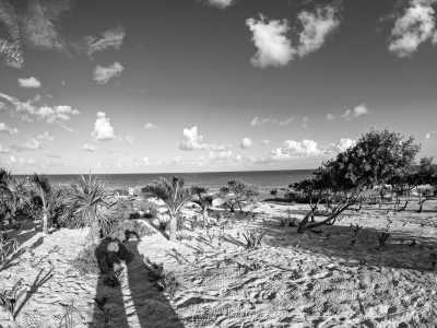 Mexiko - Cancún - Mexico ADVENTURE - Cancun to Tulum - Beach Clubs, Chichen Itza, Ziplining, Cenote tours, ATV riding, Mexican culture & more - 2