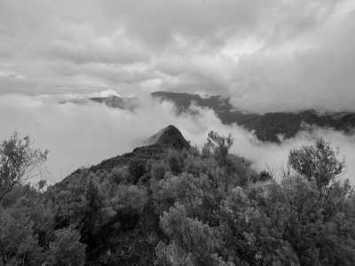 Portugal - Fanal Forestry Station - Coworkation and adventurous hiking trip with a knowledgeable expat in the centre of Funchal, Madeira (single rooms) - 2