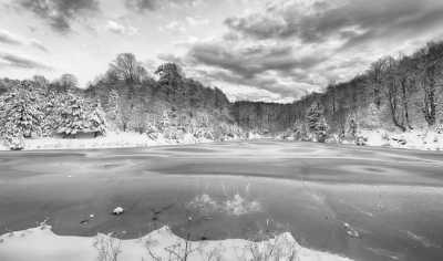 Turkey - Uludag National Park - Home Office Istanbul 360°: Coworking & Coliving 💻 🏠 , Exclusive Spa ♨ , Ski in Uludağ National Park 🎿🏂 and much more - 3