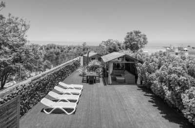 Spain - Puerto de la Cruz - Eco - Whale Watching, Explore, Hike & Beach: Escape European winter and enjoy the nature of Tenerife through outdoor activities 🌴 🤿 - 2