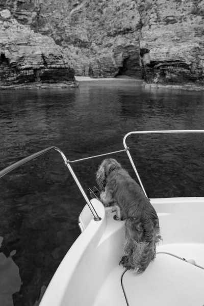 Montenegro - Budva - Discover The Hidden Gems of Montenegro - Hiking, Boat trip, BBQ and MORE - 4