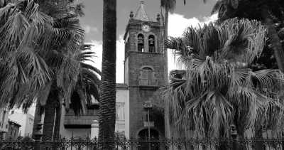 Spain - Tenerife - Exploring Tenerife with a Local - Getting the Authentic Experience - 2