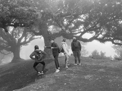 Portugal - Fanal Forest - Letzter Aufruf für Madeira: Entdecke die versteckten Geheimnisse des Hawaiis Europas