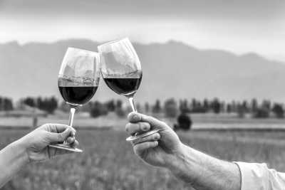 Argentinien - Pan Y Oliva. Familia Zuccardi.- - Argentina's Heart: Spanish & Wine in Mendoza, Explore Vineyards, Parks, and Hot Springs!