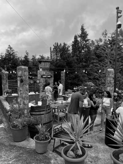 Portugal - Madeira - Homeoffice Madeira – Premium Coworking, Top-Community, JoinMyTrip Coliving seit 2021! - 10