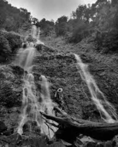 Malaysia - Kinabalu Park - Malaysian City Lights 🌆 to Jungle Heights 🌴: Kuala Lumpur, Malacca, Penang & Sabah - 7