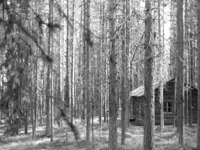 Sweden - Storforsens nature reserve - Roadtrip from Gothenburg to Hike Kebnekaise - Sweden Camping Trip - 2