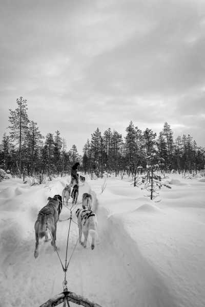 Finnland - Levi - Fotografieren lernen in Finnland - Eine unvergessliche Fotoreise im hohen Norden - 3