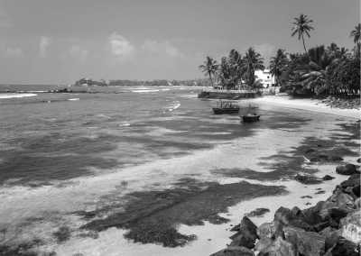 Sri Lanka - Polhena - 17-Days CoWorking Adventure in SRI LANKA: Beach I Safari I Surf I Pool & BBQ