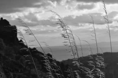 Italy - Pentedattilo - Calabria, Culture, Nature, Beach and Food: Unexplored Part of Southern Italy with Locals! - 1