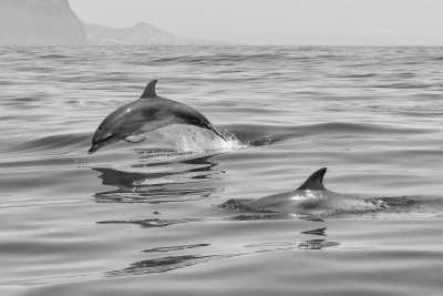 Griechenland - Methana - 🐣 Easter Sailing Trip in Greece: Everyday, Another Island 🇬🇷