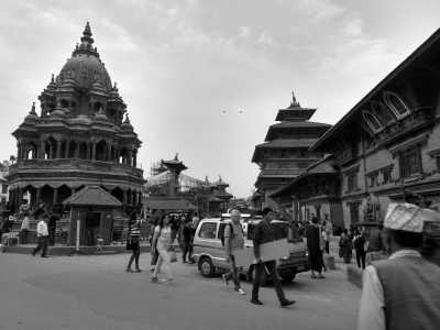 Nepal - Kathmandu - Jungle Trip in Nepal - Jungle Safari, Elephants, Rhinos, and More | Wildlife Trip - 3