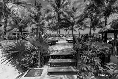 Belize - Caribbean Villas Hotel - Experience Belize Like a Local: Authentic Travel Adventures Await - 9