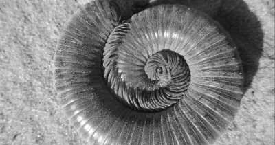 Westafrica - Gambia - Abenteuerreise nach Afrika - Gambia 😊 - 11