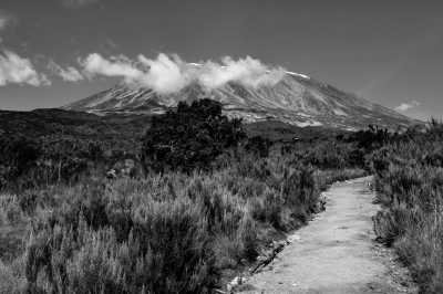 Tanzania - Adventure in Kilimanjaro - Banana Beer, Materuni Waterfalls, Moshi Town & much more - JoinMyTrip