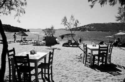 Greece - Nikolas Tavern Mykonos - Seafood Restaurant - Mykonos 5 days incl. Hotel, Party, Transfer - The party island of Greece! - 7