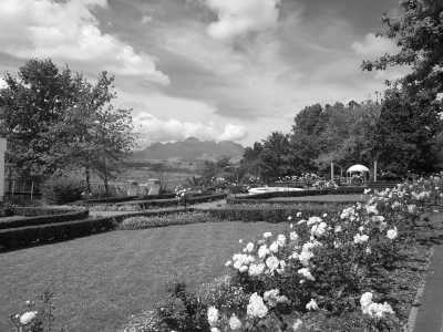 South Africa - Stellenbosch - Südafrika: das Kap, der Wein, die große und kleine Karoo, Gardenroute, garantierte Durchführung - 9