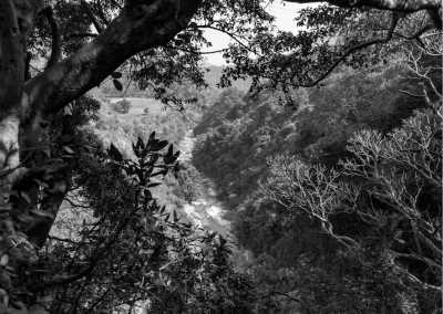 Indien - Visakhapatnam - Explore Visakhapatnam, India: Full City Tour including Submarine Museum, Indira Gandhi Zoological Park, Kailasagiri and More - 2