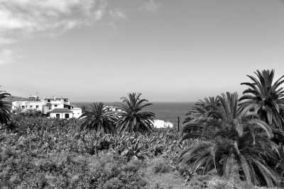 Spanien - San Juan de la Rambla - Island Yoga Retreat in Tenerife 🌴🧘🏼‍♂️ Four Days To Disconnect : With Feel Good Yoga Flows, Hikes and Traditional/Local Food 🥘 - 1