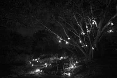 Sri Lanka - Yala National Park - Wildlife safari + Relaxed Beach Holiday in Sri Lanka - 6