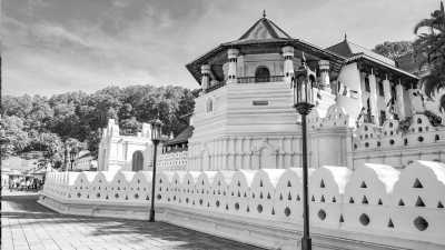 Sri Lanka - Kandy - Co-Working in Sri Lanka - Explore The Paradise lsland Beach, Nature, Waterfall, Foods, Sun ☀️ - 1