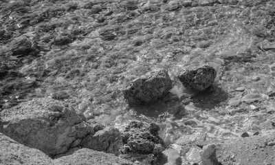 Saudi-Arabien - Umluj - Saudi Arabia 🐪: Road trip through the UNESCO's AlUla, Edge of the world, 🌋 Lava fields, 🥾 Canyon hike, Culture 🇸🇦 - 2