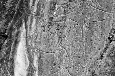 Portugal - Vila Nova de Foz Côa - Discovering Douro Valley Gems - The wines, Salling, Gastronomy and Nature - 9