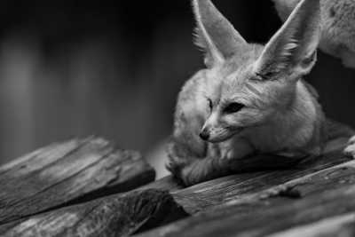 Korea, Süd - Seoul - 9-Day Quest in South Korea: Unravel Beauty Secrets and Cultural Nuances in Seoul & Busan! - 11