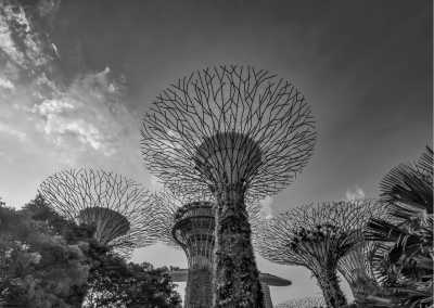 Singapore - Singapore - The Ultimate Street Food Festival in Singapore