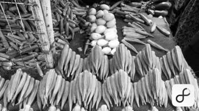 Tanzania - Tanzania National Parks - Explore and Delight in Tanzania: Your Ultimate Travel Destination within top three among the world - 7