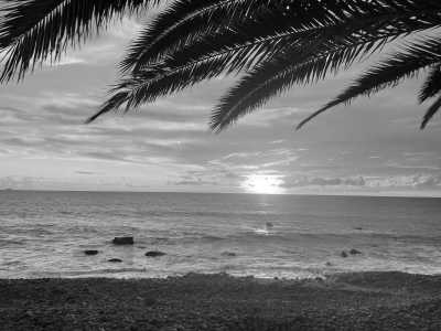 Portugal - Ponta do Sol - Adventurous Hiking Nature Trip and Co-living with a Knowledgeable Expat on the Dream Island of Madeira (Single rooms) - 14