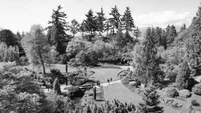 Canada - Queen Elizabeth Park - No Tricks, Just Sweet Treats in Vancouver, Canada