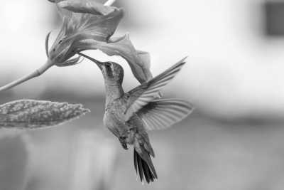 Colombia - Ecoparque Río Pance - Entdecke Kolumbien! Valle de Cauca - Die zwei Kordilleren