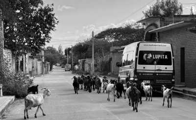 Mexiko - Oaxaca - SOUTH MEXICO WONDERS, DAY OF THE DEAD EDITION - 2
