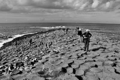 Vereinigtes Königreich - Giants Causeway - Northern Ireland's Ultimate Adventure: 2-Day Trip of Giant’s Causeway & Rathlin Island - 2