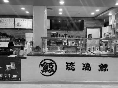 Australia - The Whale Tea Wollongong - Immerse in Wollongong's Laid-Back Lifestyle and Stunning Scenery in Australia