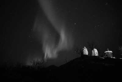 Northern Europe - Skjervøya - Nordic Experience and Whale Watching in Norway,Finland - 2