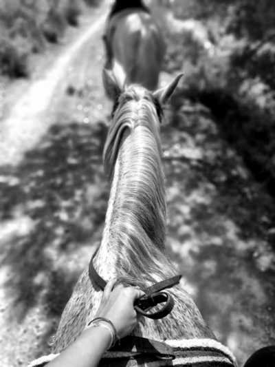 Spanien - Ibiza Horse Valley - Between magic, hippie cult and breathtaking landscape - Discover Ibiza's magical secret places!