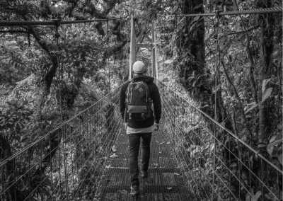 Costa Rica - Monteverde Cloud Forest Biological Preserve - Certified Barista Training in Costa Rica: Discovering Beautiful Biodiversity Through Coffee Adventures