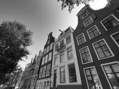 Netherlands - Amsterdam - Explore The Netherlands like a local - biking through Amsterdam, windmills and much more 🚲 - 1