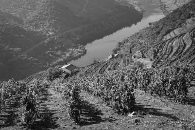Portugal - Wine, Nature, Hiking and Kayaking in the World Heritage Region of the Douro Valley, Portugal - JoinMyTrip