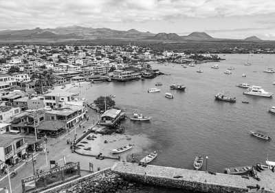 Ecuador - Puerto Ayora - 🇪🇨 Best of Galapagos Islands 🏝🦎🦈🐧 ALL INCLUSIVE!