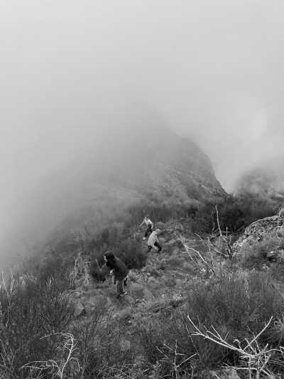 Portugal - Boca da Encumeada - Coworkation, Coliving and Adventurous Hiking Trip with a Knowledgeable expat on the dream island of Madeira (Single rooms) - 15