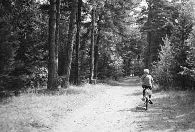 Litauen - Klaipėda - Lithuanian Wonders: A 5-Day Journey Through History, Culture, and Natural Beauty