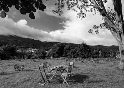 Portugal - Santana - 🌅 The Hawaii of Europe: MADEIRA! 🌤️ Private Authentic Thatched Farm Villa, Hiking, Wine Tasting, Beaching and Vibes!! - 9