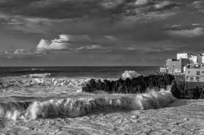 Spain - Puerto de la Cruz - Work, Nature, and Culture in Spain: Exploring Tenerife's North and Beyond - 1