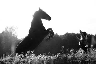 Romania - Jina - Wanderritt Transsilvanien, Rumänien - 1