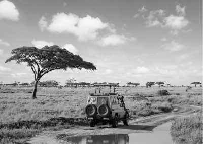 Kenya - Nairobi - 7 Days Safari in Nairobi, Kenya: Exploring Kenya Like A Local - 5